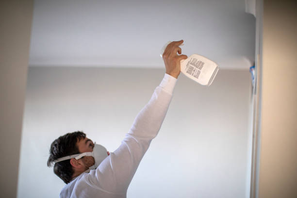 Mold Removal and Inspection in Blue Ridge, TX