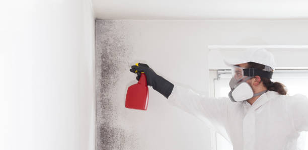 Best Professional Mold Removal  in Blue Ridge, TX