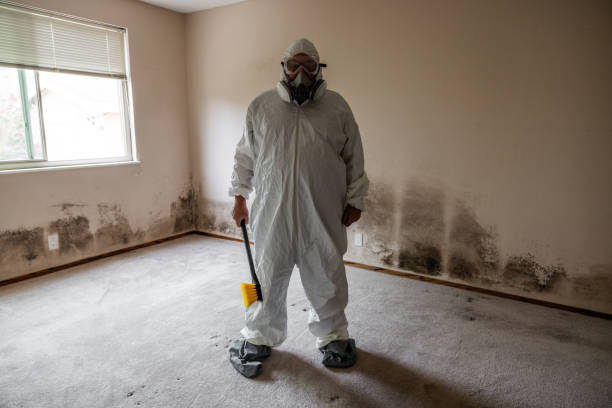 Best Home Mold Removal  in Blue Ridge, TX