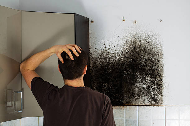 Best Affordable Mold Removal  in Blue Ridge, TX